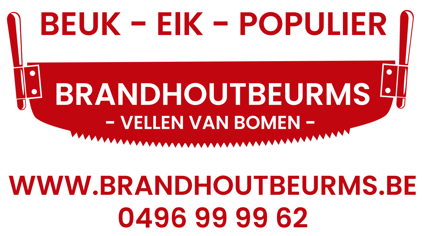 Brandhout Beurms