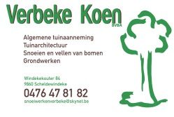 Koen Verbeke
